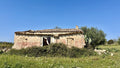 Bella Durmiente