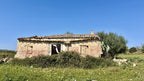 Bella Durmiente