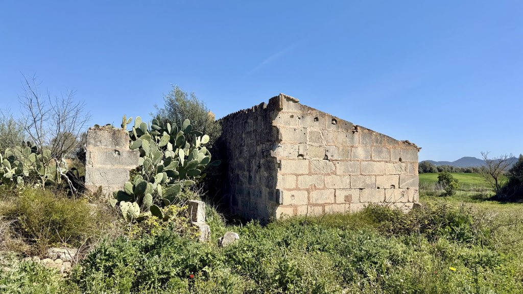 Bella Durmiente