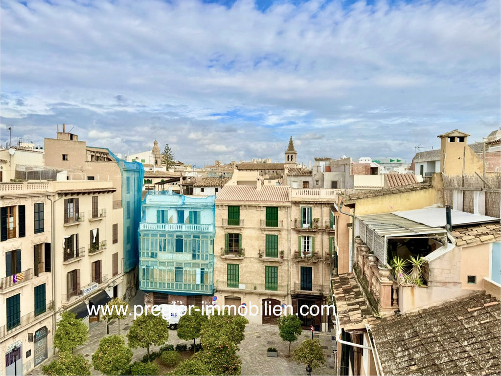 Palma, Vistas, Tranquilidad, Potential!