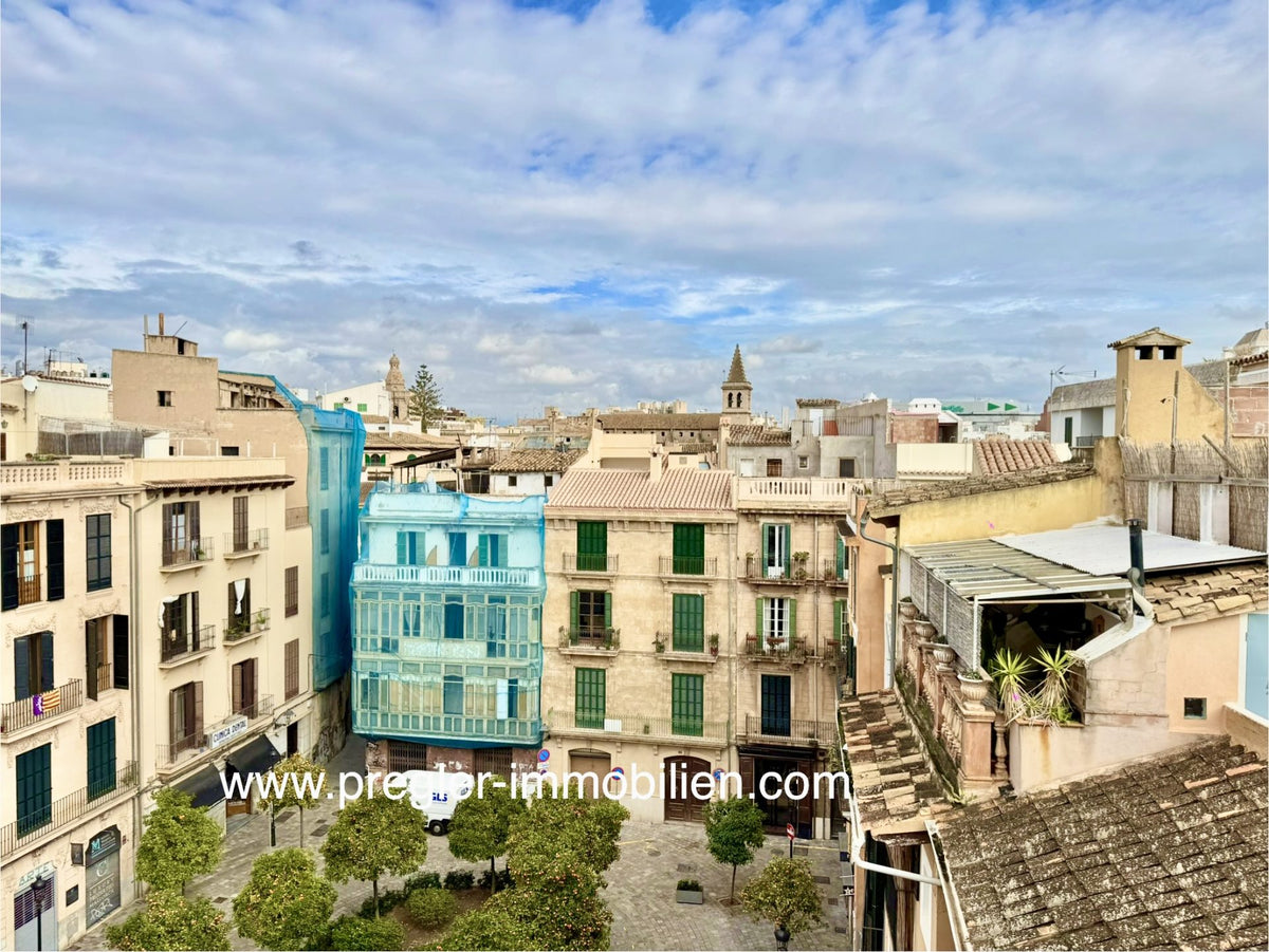 Palma, Vistas, Tranquilidad, Potential!