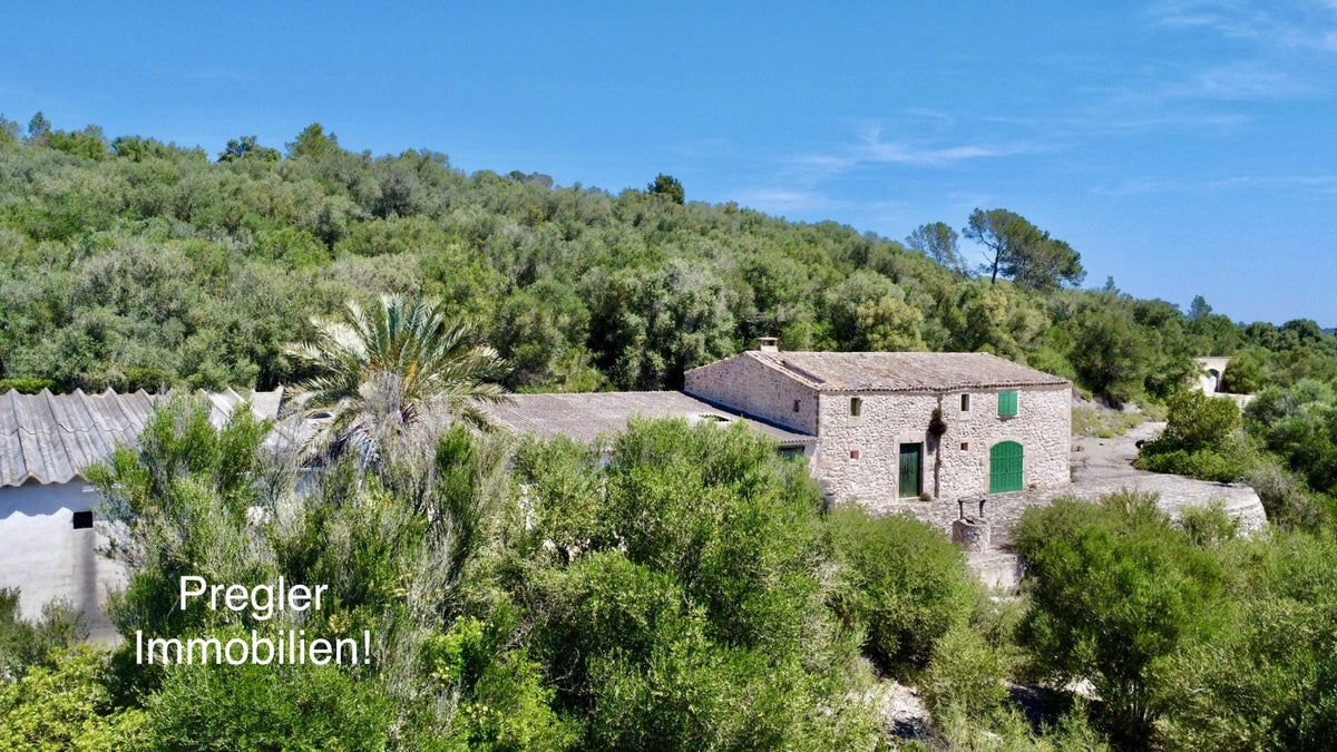Finca rústica con potencial!