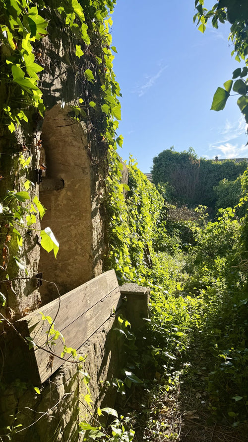 Belleza Misteriosa