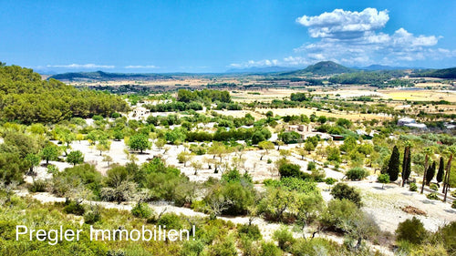 Colina con vistas ESPECTACULARES!!