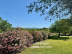 Autentica y encantadora finca con vistas