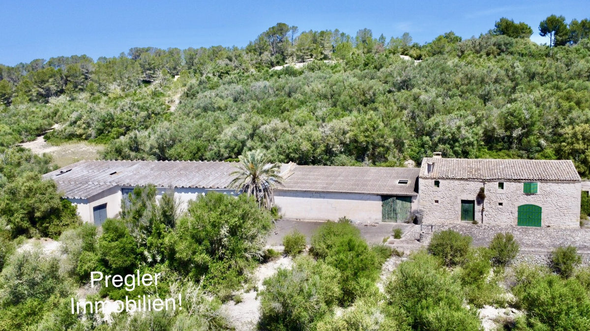 Finca rústica con potencial!