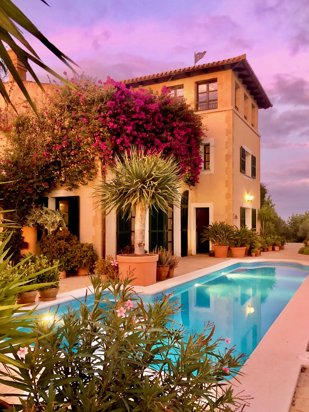 Quiero una torre! – Tiene una torre…