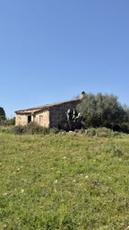 Bella Durmiente