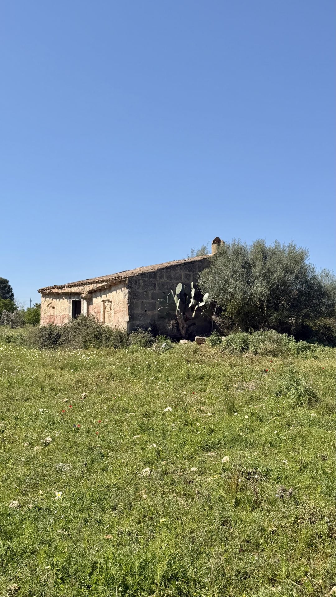 Bella Durmiente