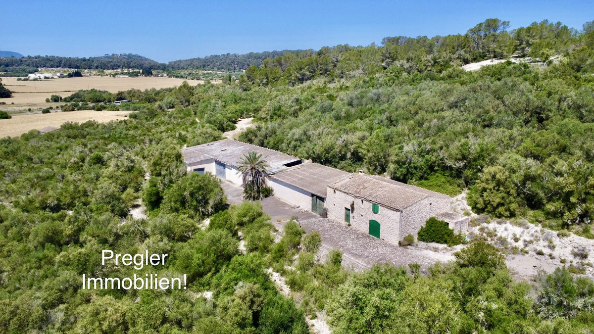 Finca rústica con potencial!