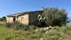 Bella Durmiente
