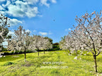 Autentica y encantadora finca con vistas