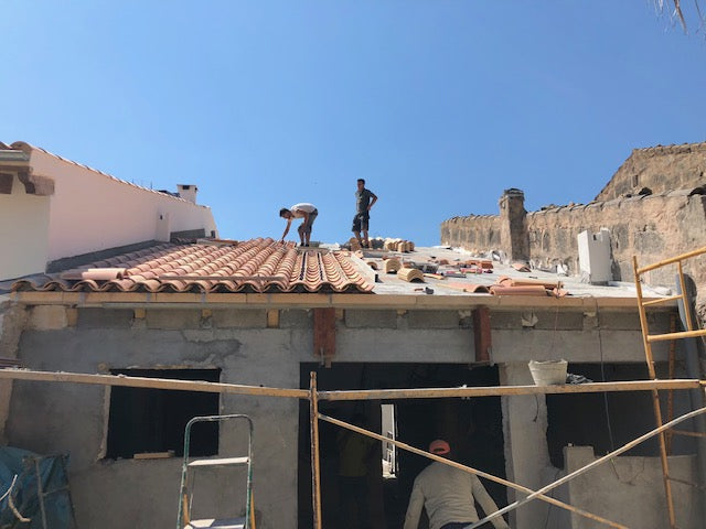Con una palmera de prosperidad!