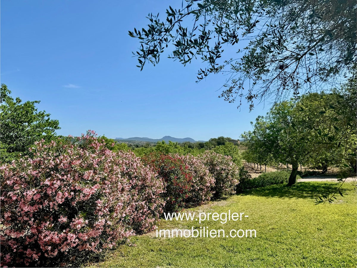 Autentica y encantadora finca con vistas