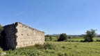 Bella Durmiente